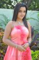 Padmini Photo Shoot Stills