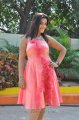 Padmini Photo Shoot Stills