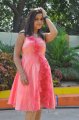 Padmini Photo Shoot Stills