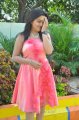 Padmini Photo Shoot Stills