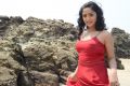 Actress Divya Singh in Pagadai Pagadai Movie Stills