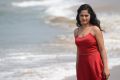 Actress Divya Singh in Pagadai Pagadai Movie Stills