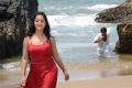 Actress Divya Singh in Pagadai Pagadai Tamil Movie Stills