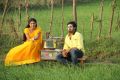 Shravya, Prabhu Ranaveera in Pagiri Movie Latest Images