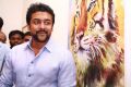 Suriya @ Paintings of Sivakumar Book Launch Stills