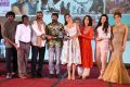 Paisa Vasool Audio Success Meet Photos