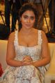 Shriya Saran @ Paisa Vasool Audio Success Meet Stills