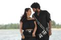 Nikki Galrani, Vikram Prabhu in Pakka Movie Images HD