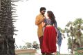 Vikram Prabhu, Nikki Galrani in Pakka Movie Images HD