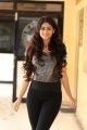 Actress Pallak Lalwani Images @ Crazy Crazy Feeling Press Meet