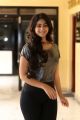 Actress Palak Lalwani Images @ Crazy Crazy Feeling Press Meet