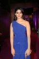 Actress Palak Lalwani Images @ Zee Apsara Awards 2018