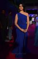 Actress Palak Lalwani Images in Blue Long Dress @ Apsara Awards 2018