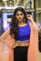 Actress Palak Lalwani Stills @ Juvva Movie Audio Release