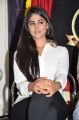Actress Palak Lalwani Photos @ Juvva Movie First Look Launch