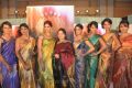 Sri Palam Silks - Silkline'13 Fashion Show Stills