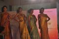Palam Silkine Fashion Show 2012 Photos