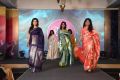 Palam Silks Festive Collections 2015 Fashion Show Stills