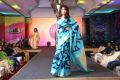 Palam Silks Festive Collections 2015 Fashion Show Stills