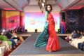 Palam Silks Festive Collections 2015 Fashion Show Stills