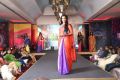 Palam Silks Festive Collections 2015 Fashion Show Stills