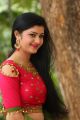 Telugu Actress Pallavi Naidu Photos @ Prementha Panichese Narayana Trailer Launch
