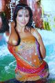 Actress Pallavi Subhash Hot Photo Shoot Gallery