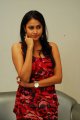 Panchi Bora Photo Shoot Stills