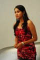 Panchi Bora Photo Shoot Stills