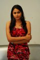 Panchi Bora Photo Shoot Stills