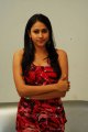 Panchi Bora Photo Shoot Stills