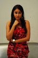 Panchi Bora Photo Shoot Stills