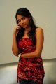 Panchi Bora Photo Shoot Stills