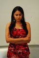 Panchi Bora Photo Shoot Stills