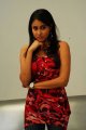 Panchi Bora Photo Shoot Stills