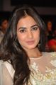 Actress Sonal Chauhan @ Pandaga Chesko Movie Audio Launch Stills