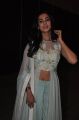 Actress Sonal Chauhan @ Pandaga Chesko Movie Audio Launch Stills