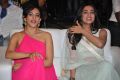 Rakul Preet Singh, Sonal Chauhan @ Pandaga Chesko Movie Audio Launch Stills