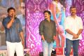 Pandaga Chesko Movie Audio Launch Stills