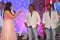 Pandaga Chesko Movie Audio Launch Stills