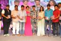 Pandaga Chesko Movie Audio Launch Stills