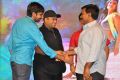 Pandaga Chesko Movie Audio Launch Stills