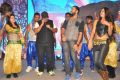 Pandaga Chesko Movie Audio Launch Stills