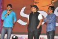 Pandaga Chesko Movie Audio Launch Stills