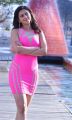 Actress Rakul Preet Singh in Pandaga Chesko Movie Gallery