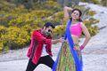 Ram, Rakul Preet Singh in Pandaga Chesko Movie Gallery