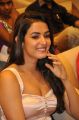 Actress Sonal Chauhan @ Pandaga Chesko Movie Success Meet Stills