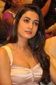 Actress Sonal Chauhan @ Pandaga Chesko Movie Success Meet Stills