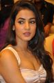 Actress Sonal Chauhan @ Pandaga Chesko Movie Success Meet Stills