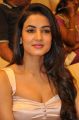 Actress Sonal Chauhan @ Pandaga Chesko Movie Success Meet Stills